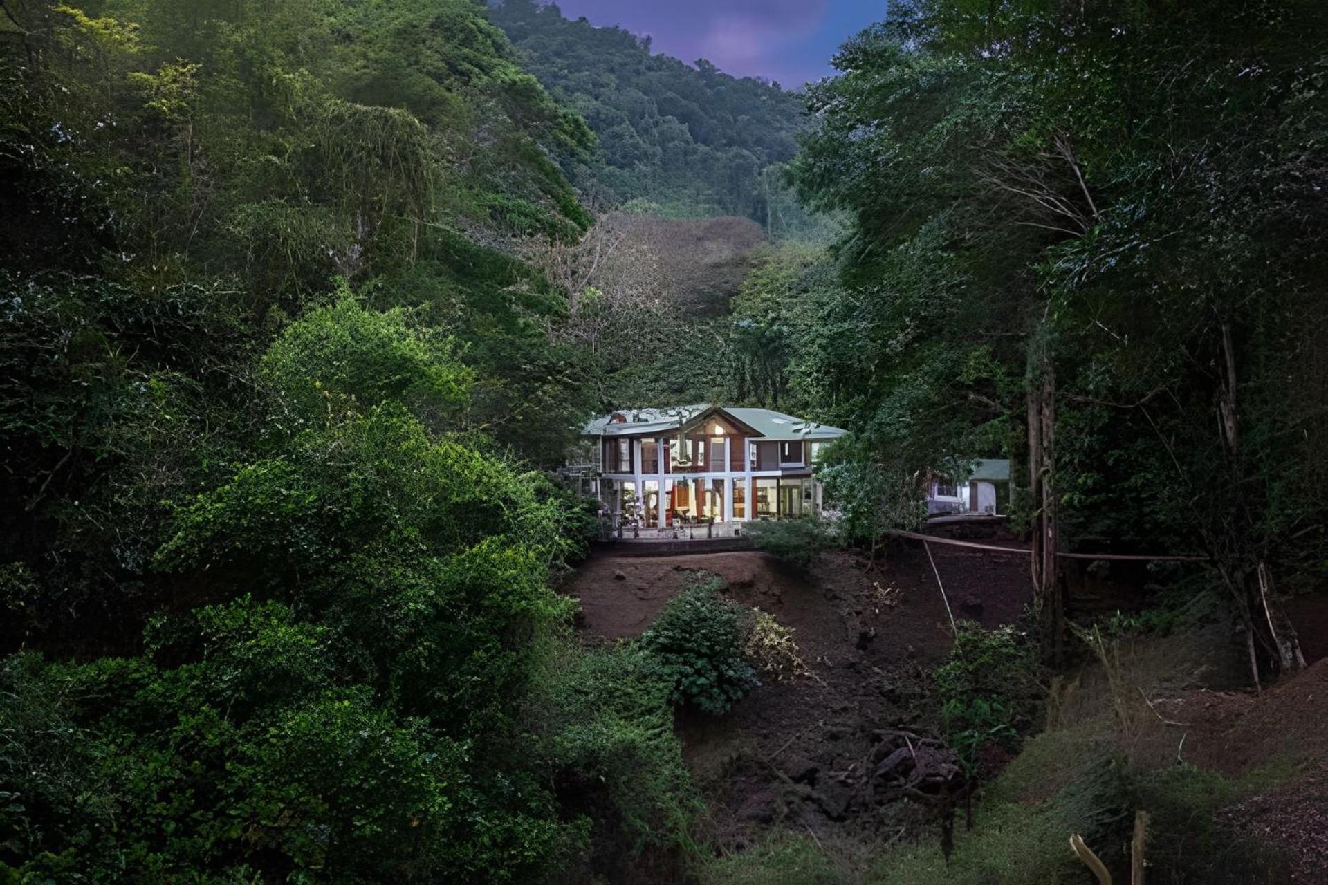 The Jungle Inn Dominicalito Extérieur photo