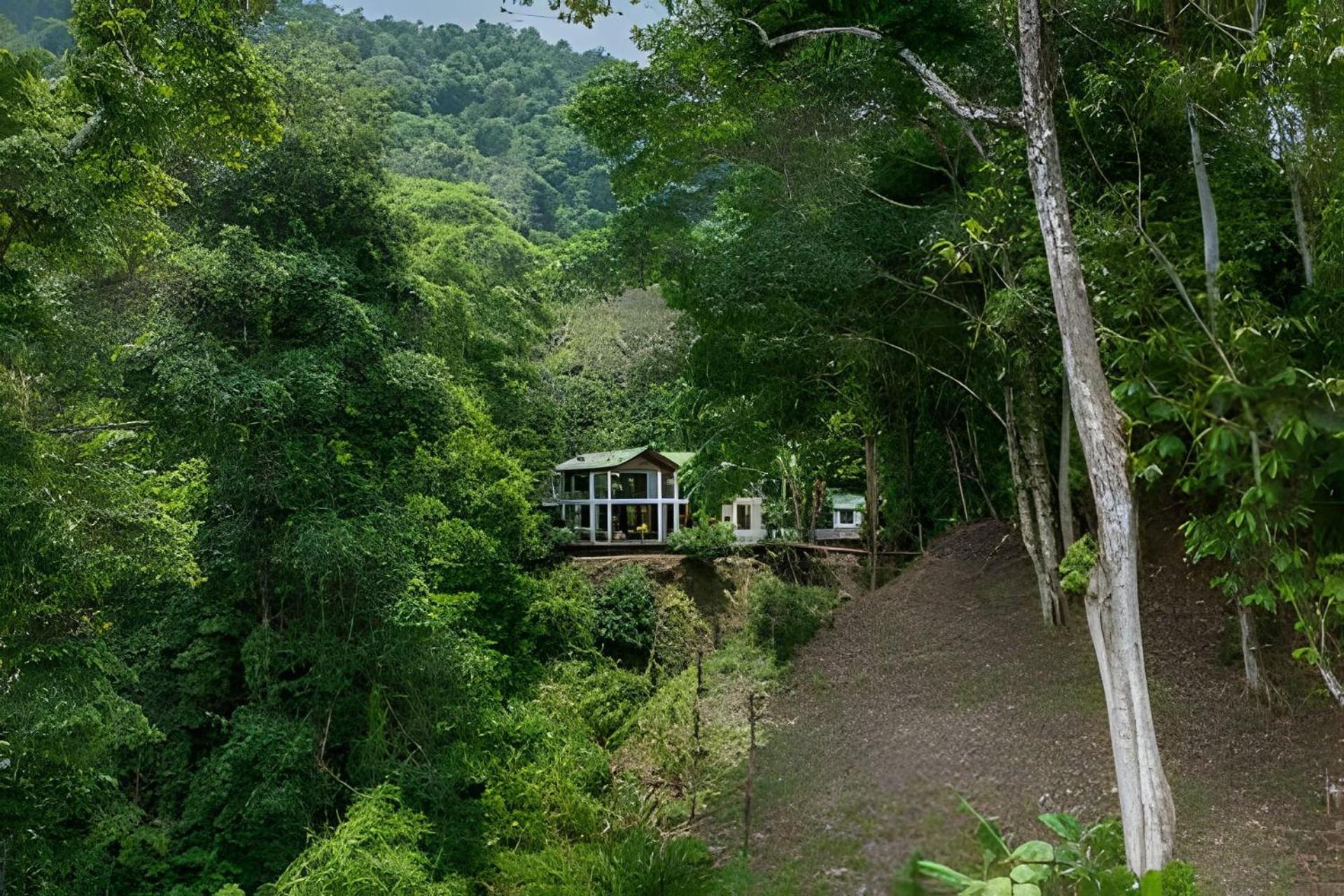 The Jungle Inn Dominicalito Extérieur photo